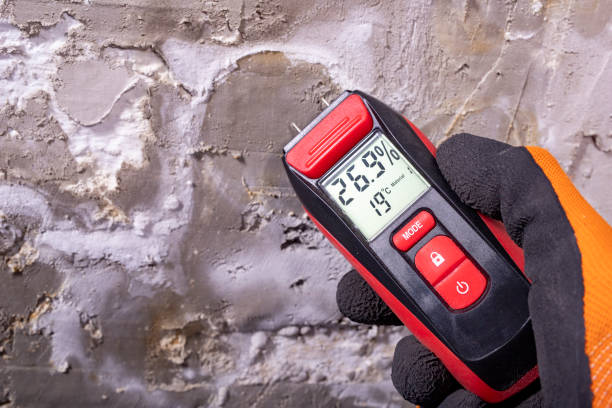 Best Residential Mold Remediation in Lagrange, GA