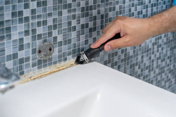 Best Kitchen Mold Remediation in Lagrange, GA